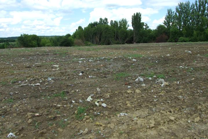 Стан участка до закладання плантацій біоенергетичних рослин Стан участка до закладання плантацій біоенергетичних рослин